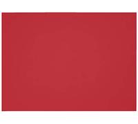 Foglia 55 x 75 (25) Canson Mi-Teintes 60% Ape 160 g (116)
