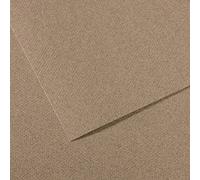 Foglia 55 x 75 (25) Canson Mi-Teintes 60% Ape 160 g (431)