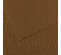 Foglia 55 x 75 (25) Canson Mi-Teintes 60% Ape 160 g (501)