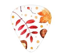Foglia botanica autunnale,12 pezzi di plettri per chitarra, 3 plettri di diverso spessore per chitarra acustica, basso, ukulele