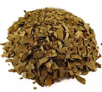 Foglia di Ginkgo Biloba - Tisana per la memoria e l'acufene, Ginkgo Biloba