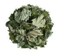 Foglia di Nocciolo per Tisane - Corylus Avellana Foglie Essiccate