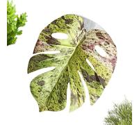 Foglia di ragno per saltare, a forma di foglia realistica, accessorio per terrario, per serra, terrario, tappeto per serra, terrario, tubo, cancro, uova, zoo, gabbia per uccelli