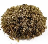 Foglia di salvia - Salvia, per tosse e mal di gola, Salvia officinalis