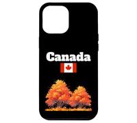 Fogliame autunnale canadese Foglie autunnali bandiera del Canada souvenir Custodia per iPhone 12 Pro Max