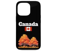 Fogliame autunnale canadese Foglie autunnali bandiera del Canada souvenir Custodia per iPhone 13 Pro
