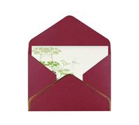 Fogliame ed erbe con libellule alate biglietti vuoti con buste, biglietti di auguri singoli con buste, inviare ad un caro amico