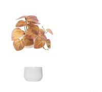 Fogliame in vaso a base di plastica per progetti di interior design che richiedono un linguaggio visivo coerente Unità multiple (G)