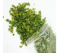 Fogliame Verde 33ml per Modellismo Ferroviale | Colore verde primavera, ideale per trenini, architetture, diorami realistici e scenari militari
