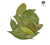 Foglie di Alloro Essiccate Greche Selvatiche 950g Raccolta Maggio 2026