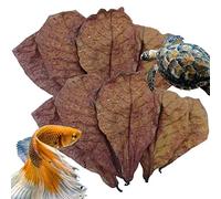 Foglie di Catappa, Foglie di Gamberetti Betta Per Acquari, Foglie di Indiane, Accessori per Rana, Gamberetti D'Acqua Dolce E Foglie Di Pesce Tropicale Per Un PH Equilibrato Di Acqua E Un Orto