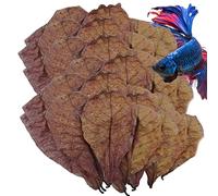Foglie di Catappa, Foglie di Gamberetti Betta Per Acquari, Foglie di Indiane, Accessori per Rana, Gamberetti D'Acqua Dolce E Foglie Di Pesce Tropicale Per Un PH Equilibrato Di Acqua E Un Orto
