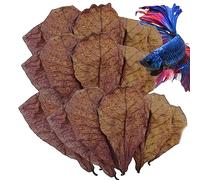 Foglie di Catappa, Foglie di Gamberetti Betta Per Acquari, Foglie di Indiane, Accessori per Rana, Gamberetti D'Acqua Dolce E Foglie Di Pesce Tropicale Per Un PH Equilibrato Di Acqua E Un Orto