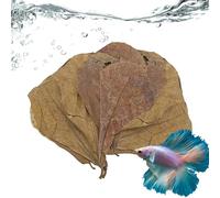 Foglie di catappa per acquario, naturali e sicuri, foglie di catappa realistiche, per acqua interna ed esterna