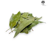 Foglie di eucalipto essiccate 85 g - 1,95 kg Eucalipto Globulus