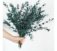 Foglie di eucalipto secche conservate steli vegetali, 8-14 rami di ghirlanda di eucalipto, eucalipto naturale da 113,4 g, per doccia, foglie blu, per ghirlande nuziali, feste, decorazioni per la casa