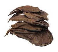 Foglie di indiane - Terminalia Catappa - Foglie per serbatoio Betta | Foglia per acquario per protezione del pesce acqua dolce tropicale morbido condizionamento