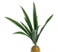 Foglie di orchidea artificiale per lo spazio abitativo, per mettere in risalto la libreria, per bagno, verde e ingresso, riempitivo per vasi con realismo (verde scuro)