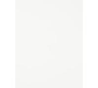 Foglio 50 x 65 (25) Guarro Cart Iris 120 g Bianco