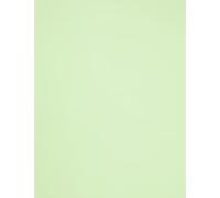 Foglio 50 x 65 (25) Guarro Cart Iris 120 g Verde mela