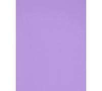 Foglio 50 x 65 (25) Guarro Cart Iris 120 g Viola