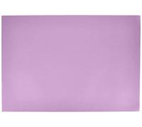 Foglio 70 x 100 (25) Canson Colorline Liscio/Fine 220 g Lilla