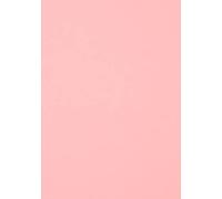 Foglio 70 x 100 (25) Guarro Cart Iris 240 g Rosa