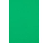 Foglio 70 x 100 (25) Guarro Cart Iris 240 g Verde Abete