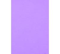Foglio 70 x 100 (25) Guarro Cart Iris 240 g Viola