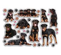 Foglio di adesivi A5 Rottweiler adesivi in vinile - Cani Cuccioli Animali Animali Scrapbooking Viaggi Decorazione Etichetta Amici Ragazze Ragazzi Estetica #80811
