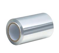 Foglio di latta per capelli - Lamina riutilizzabile per capelli con condizionamento profondo | Fogli di tintura per capelli, fogli di latta per tintura per capelli, fogli di latta per l'applicazione