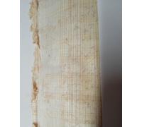 Foglio Papiro Siracusano originale: Direttamente dalla Pianta alla Carta Papiro