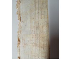 Foglio Papiro Siracusano originale: Direttamente dalla Pianta alla Carta Papiro