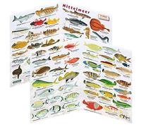 Foglio pieghevole per la determinazione del pesce, foglio pieghevole per la determinazione della pesca del Mediterraneo, acqua dolce, Mare Rosso, Caraibi, Mar Baltico.
