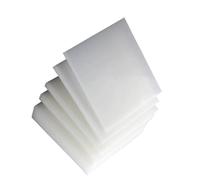 Foglio Polipropilene Bianco 1pcs(300x500x3mm)