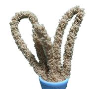 Foglio ritorto da 1 m, fai te, artigianato, scovolino in velluto corallo e ciniglia for cani gatti carini per Artigianato Decorazion(44 Brown,2pcs)