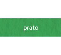 Foglio Tiziano A4 Pz.50 112-Prato