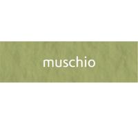 Foglio Tiziano A4 Pz.50 114-Muschio | Fabriano