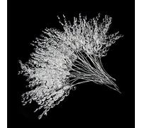 FOIMAS 50pcs acrilico perline goccia steli bouquet di fiori germogli di cristallo rami di ramoscello di fiori per la decorazione domestica di nozze decorazione floreale forniture artigianali