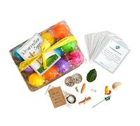 Fokayo Set di Uova di risurrezione con Cartoline, Storia della Settimana di Pasqua, 12 Uova di Pasqua Colorate con Simboli biblici e Cartoline delle Scritture, Accessori per narrazione basata (1Pcs)