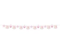 Folat 27489 Decorazione di compleanno Principessa Rosa - Ghirlanda di Bandierine - Pretty Princess - 6 meter - Festa della principessa