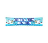 Folat - Banner Hooray it's a boy - 177x41 cm