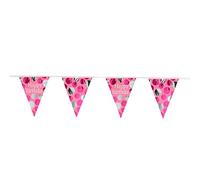 Folat- Linea di Bandiera Glossy Pink 'Happy Birthday' -4 Metri, Rosa, 68407