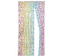 Folat - Tenda per porta Foil Rainbow Bday - 2x1m