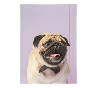 folia 69002 - Cartella A3 Basic Puggy Love, in Cartone Robusto con Elastico