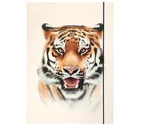 folia 69004 - Cartella A3 Basic Roaring Tiger, in Robusto Cartone con Elastico