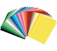 Folia Cartoncino A5, 300 g/m2, 25 colori assortiti, nero