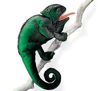 Folkmanis Puppets 2215 - Pupazzo Camaleonte
