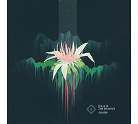 Folly - Awake ( lp_record )