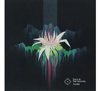 Folly & the Hunter Awake (CD) Album